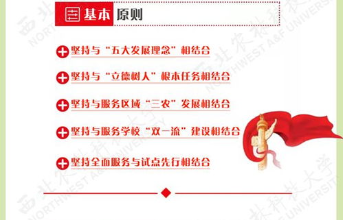 科技推广处 技术推广的桥梁与催化剂