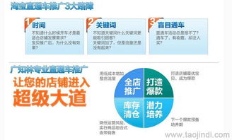 天猫店铺推广与运营全攻略 装修、拍照、产品描述与软件开发价格解析